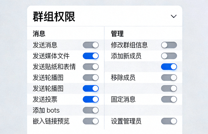 Telegram电脑版群组权限设置页面截图，展示各种可配置的权限开关选项