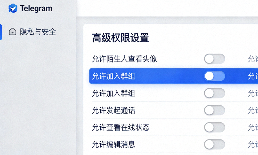 电脑版Telegram高级权限设置界面截图 - 展示详细的权限开关选项