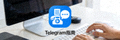 电脑版Telegram指南网站页脚Logo