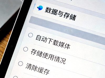 Telegram桌面版设置菜单中数据与存储选项的特写